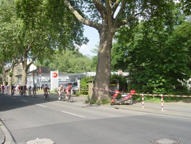 Da fahren sie...