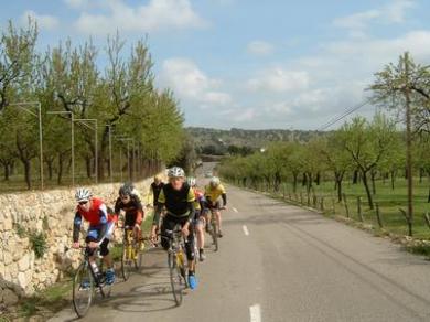 Mallorca (Trainingslager)